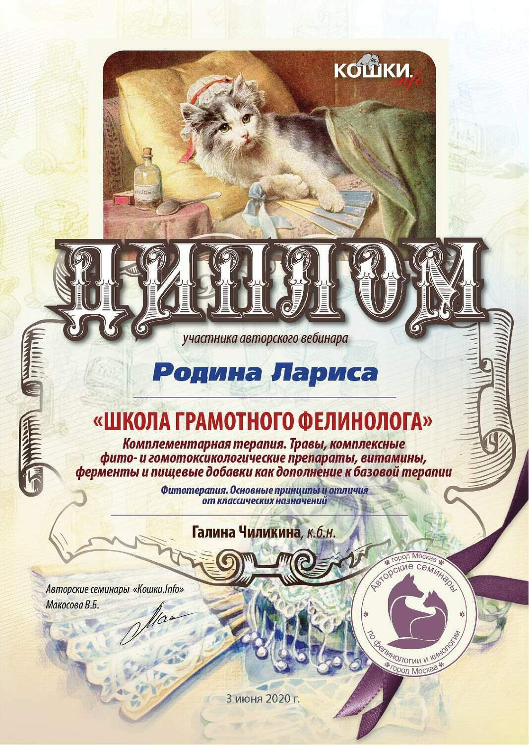 фелинология, питомник эльфов, кошки породы эльф, заводчик кошек, заводчик сфинксов, эльф, сфинкс